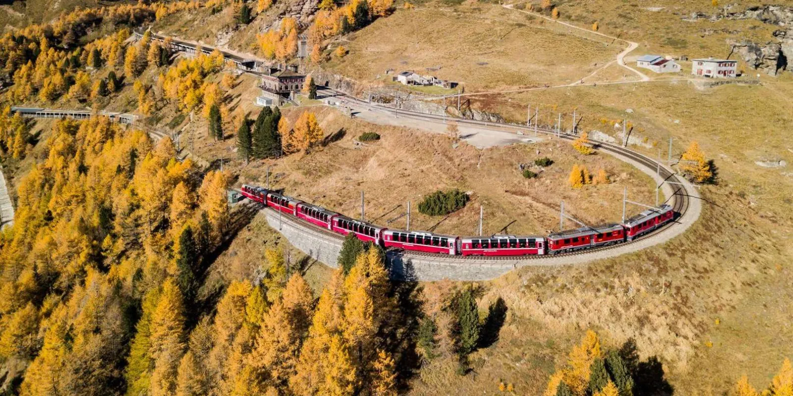 A red Bernina Express train curving through golden autumn larch on the Rhaetian Railway